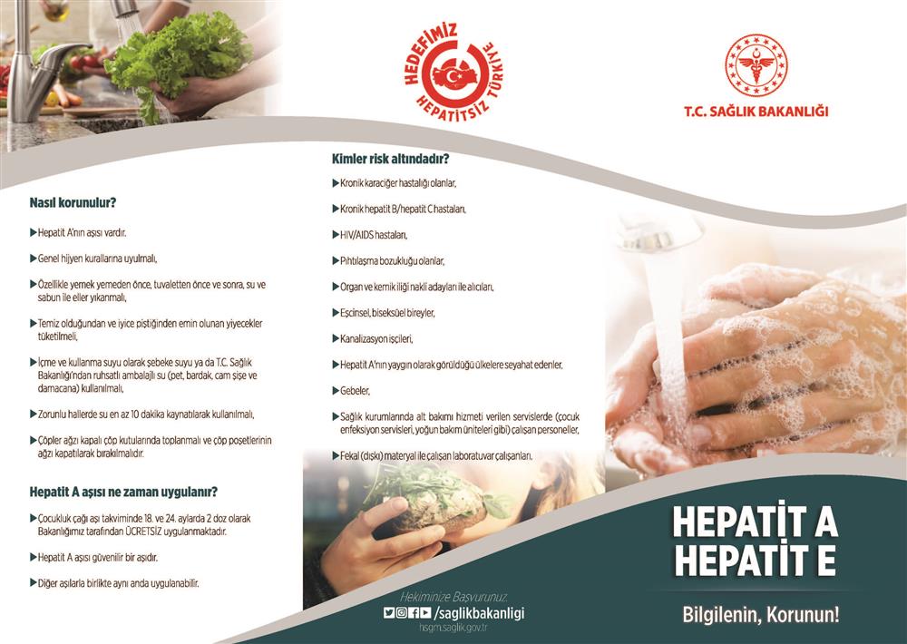 br_1 Hepatit_Sayfa_1.jpg